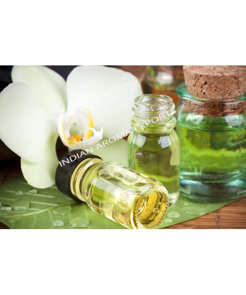 Narcissus Absolute Oil 