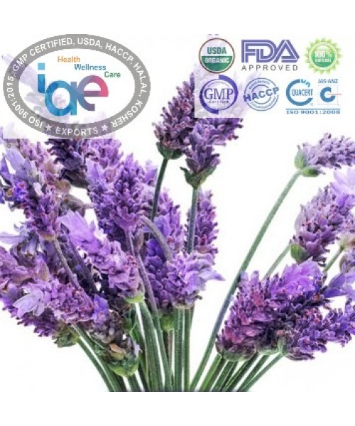 Pure Lavender Oil - Aromatheraphy & Sleep