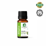 Allspice Oil wholesale