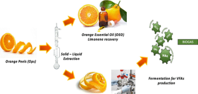 Orange Oil Extraction Process